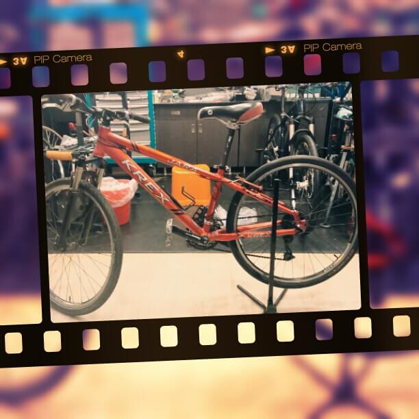 照片攝於達芬奇單車行，感謝協助調整車況！！