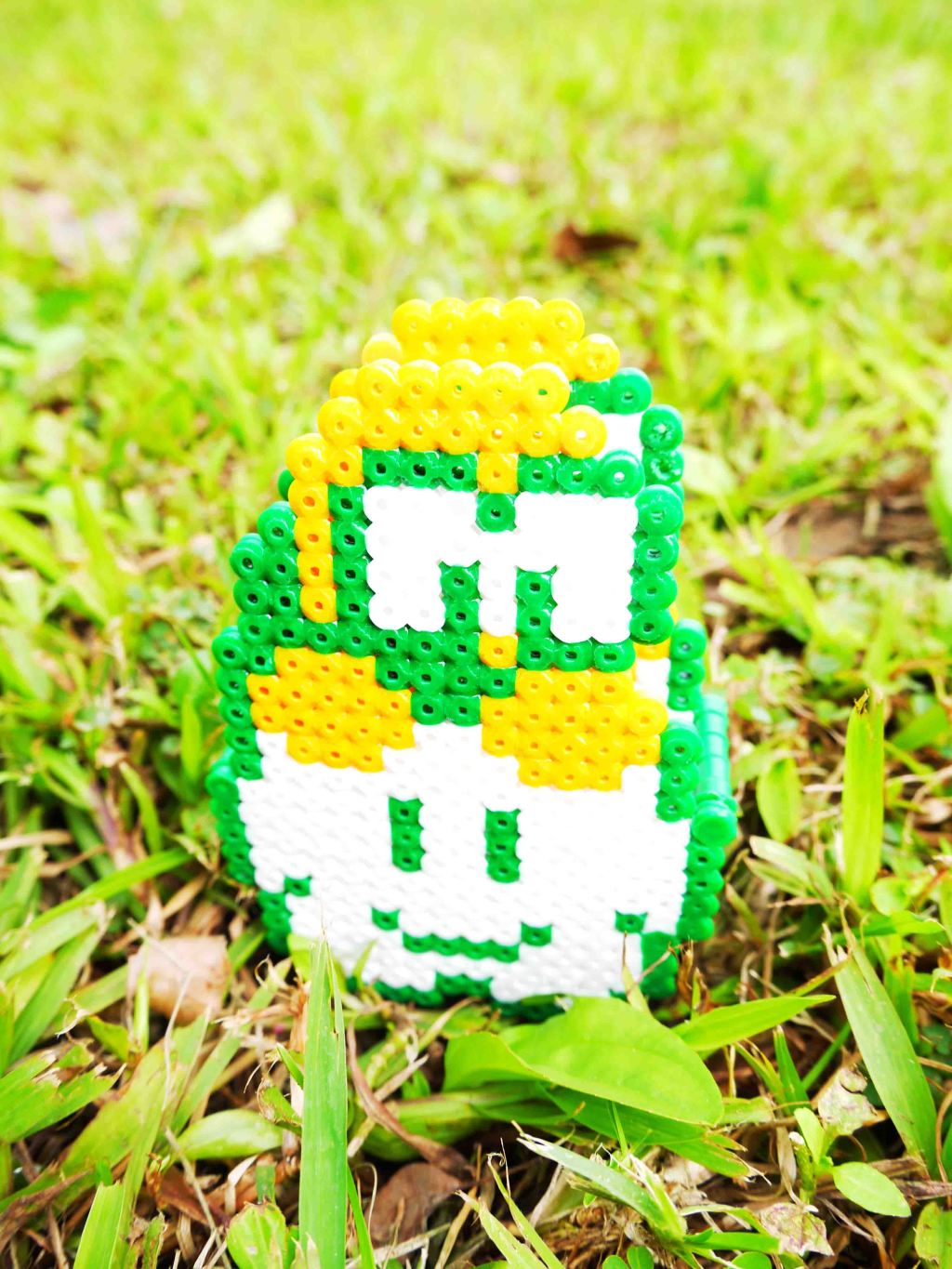 雲上的眼鏡龜筆筒